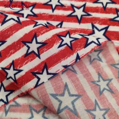 300GSM Cotton Canvas Fabric | Heavy-Duty Durable Material Sixdragon textile